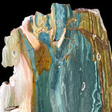Close up of teal blue green Petrified Wood from Oregon