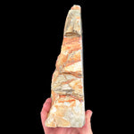 Side view of Petrified Gary Green Wood 