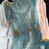 Close up of teal green Petrified Wood from Oregon