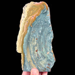 Teal green Petrified Wood - Oregon, USA