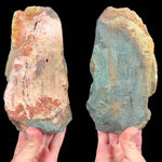 Back side of Petrified Bogwood pair