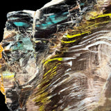 Close up of Chrysocolla and Volborthite inclusions in Petrified Wood from Turkey