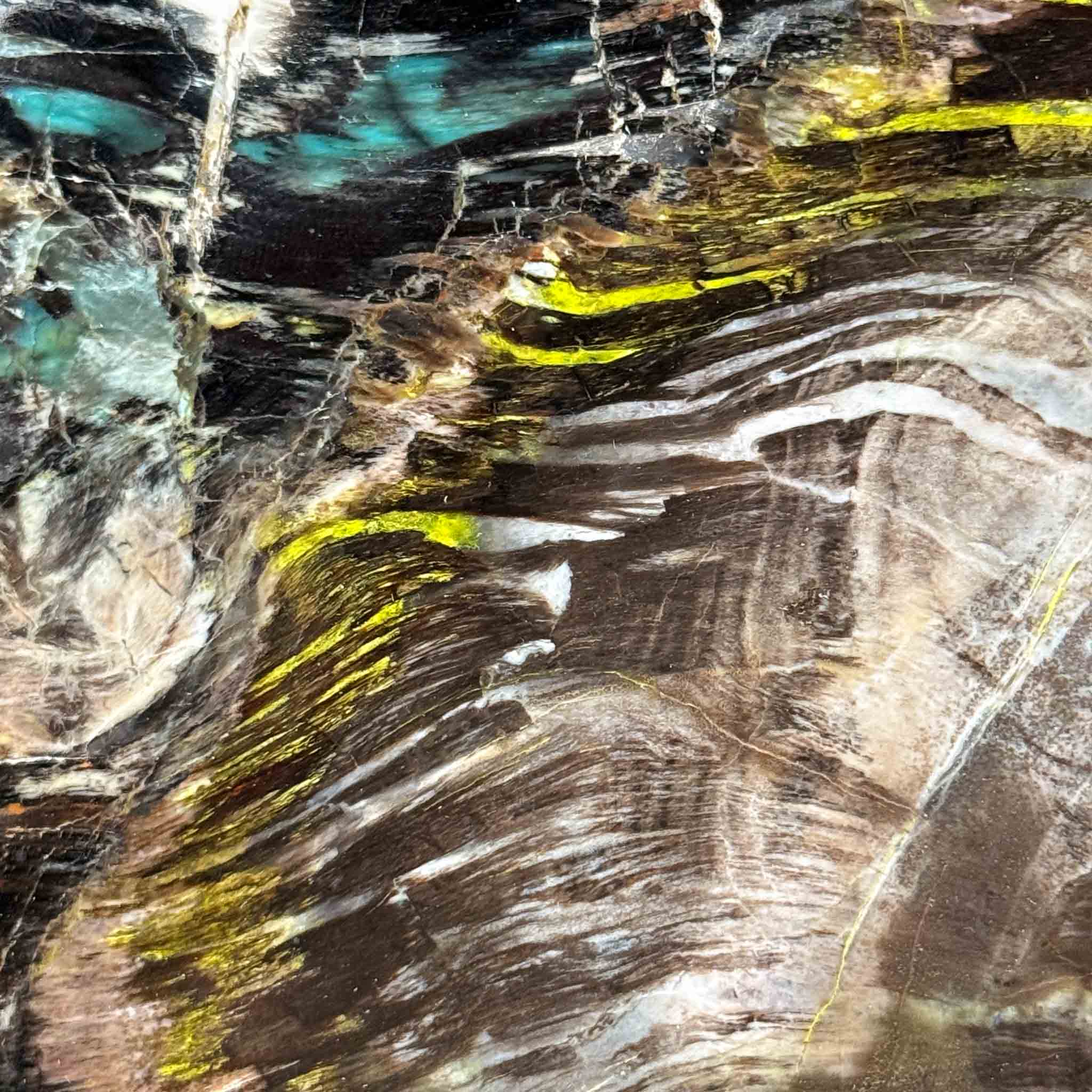 Close up of Chrysocolla and Volborthite in Petrified Wood from Turkey