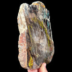 Side view of Turkish Petrified Wood