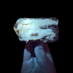 UV fluorescence of Petrified Wood from Wyoming