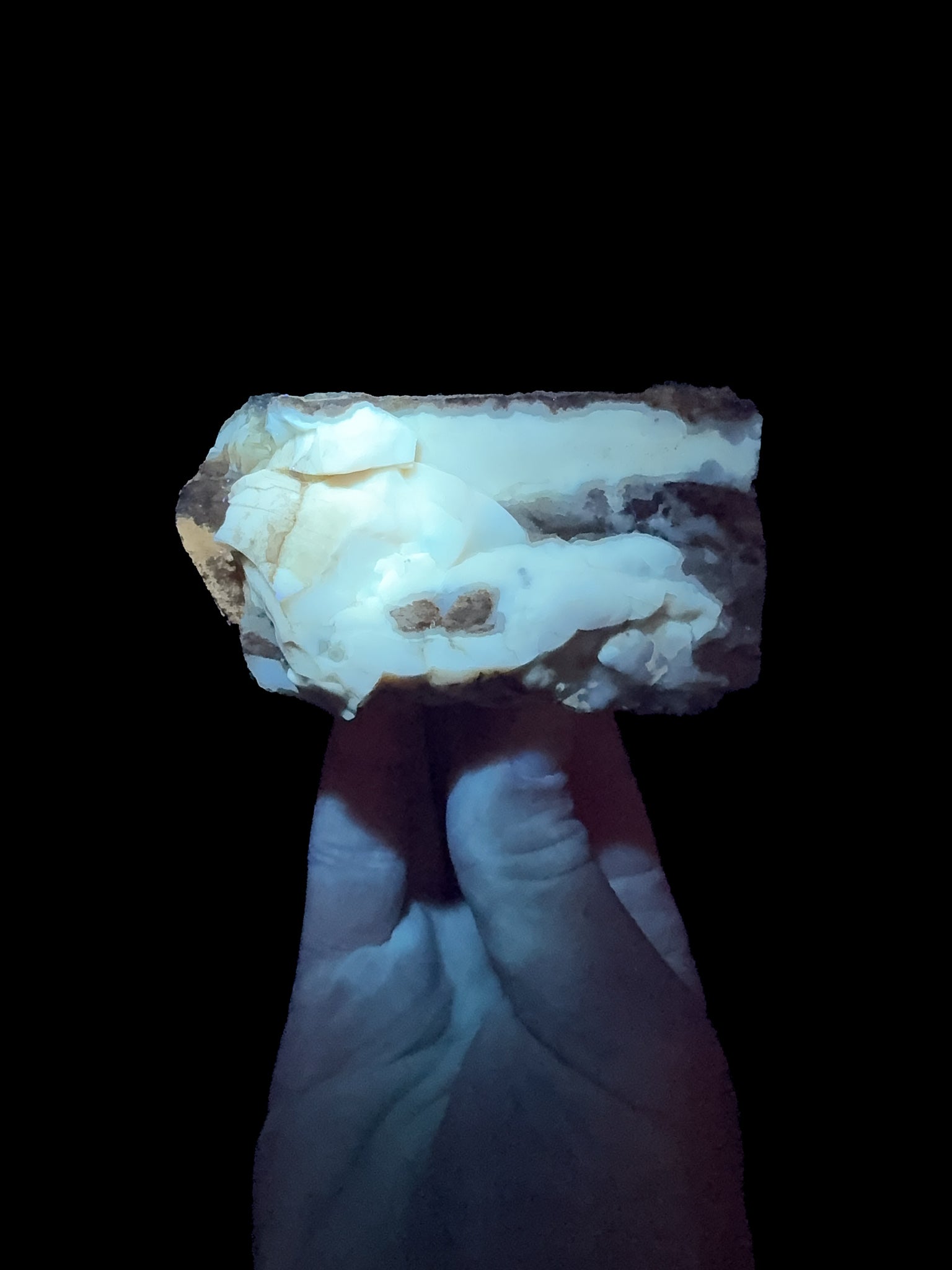 UV fluorescence of Petrified Wood from Wyoming
