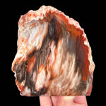 Petrified Wood - Boron, California