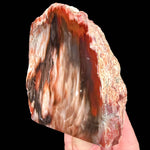 Red Petrified Wood - California