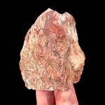Back side of Petrified Wood Boron, California, USA