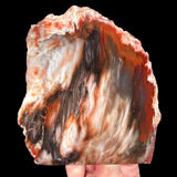 Boron Petrified Wood - California