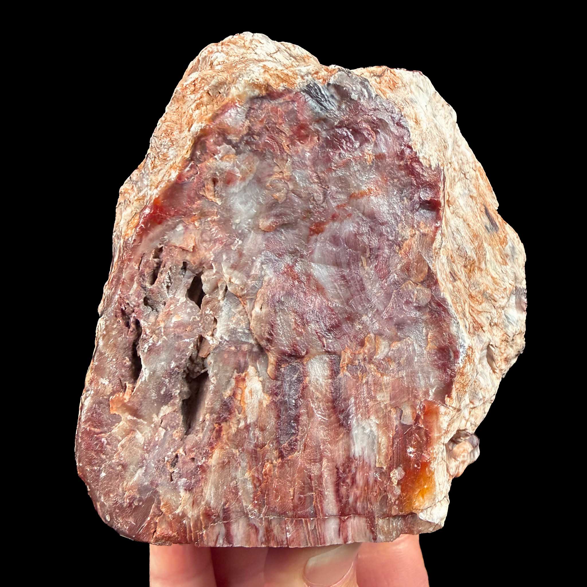 Back side of specimen