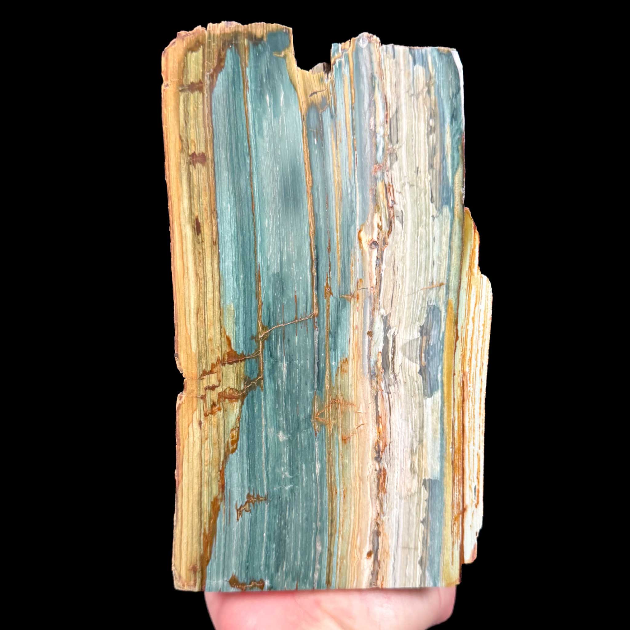 Green Petrified Wood from Oregon, Petrified Bogwood