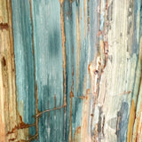 Close up of green Petrified Wood