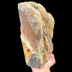 Side view of Petrified Bogwood exterior