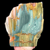 Green Petrified Bogwood from Oregon