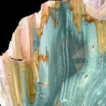Close up of green Petrified Bogwood from Oregon