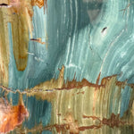 Close up of green Petrified Wood from Oregon