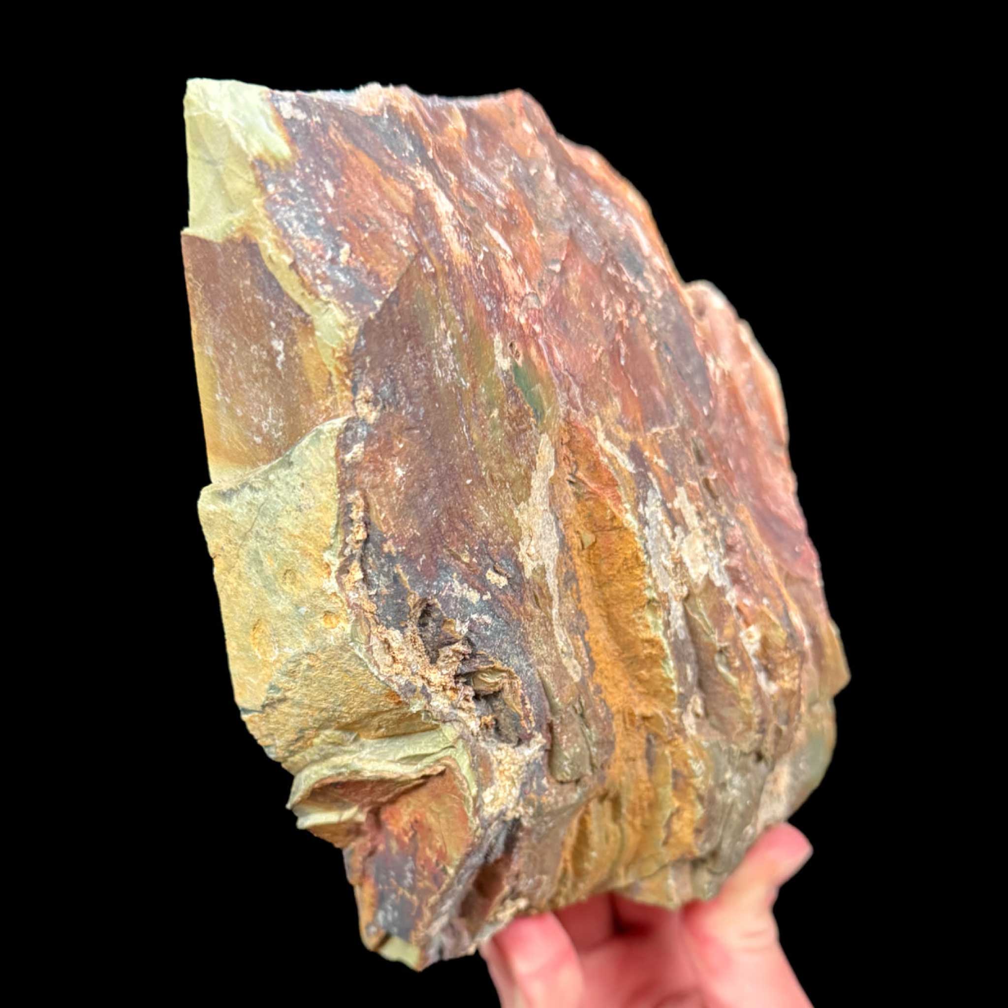 Exterior of Petrified Bogwood from Oregon