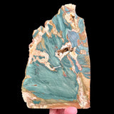 Green Petrified Wood, Bogwood, Larsonite from McDermitt, Oregon