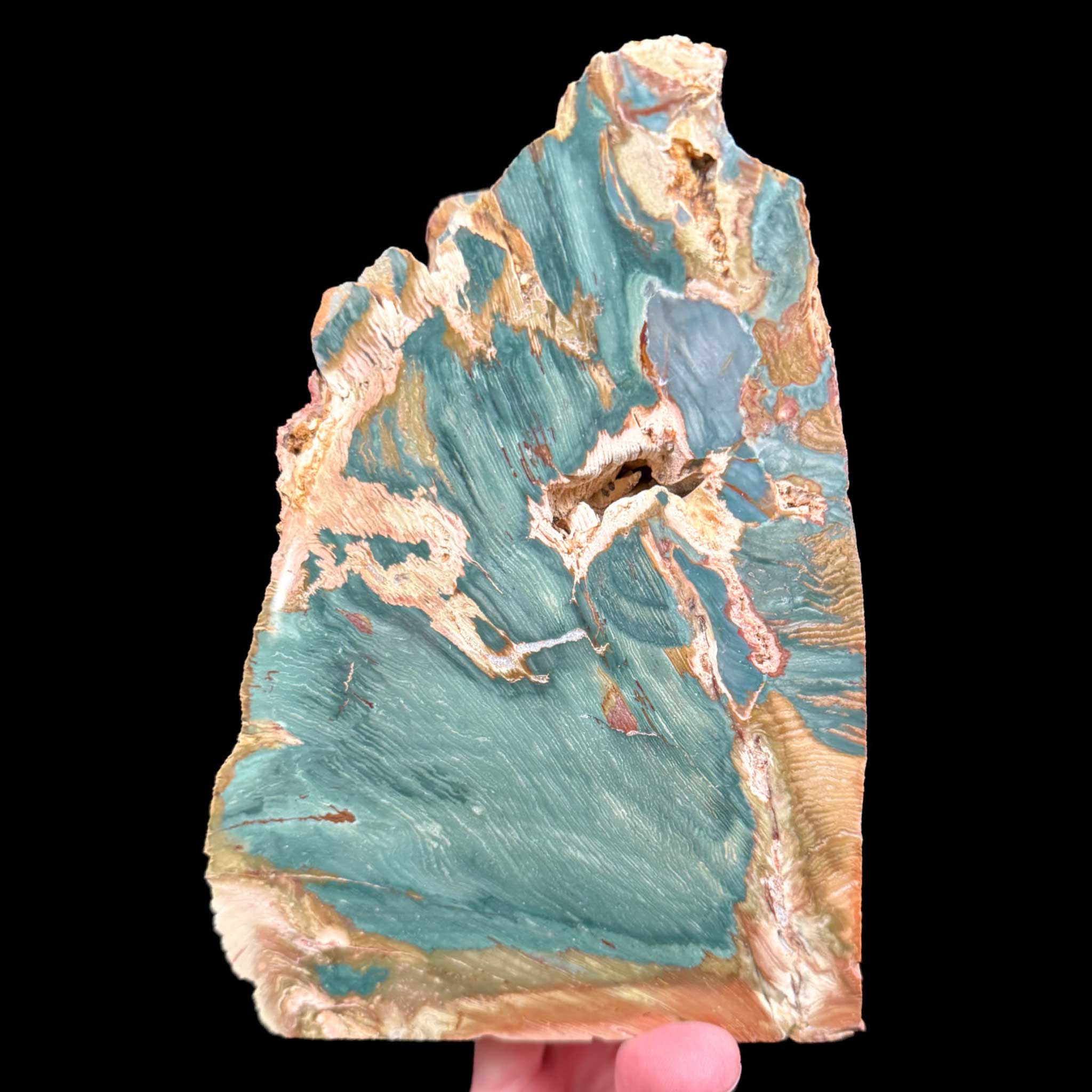 Green Petrified Wood, Bogwood, Larsonite from McDermitt, Oregon