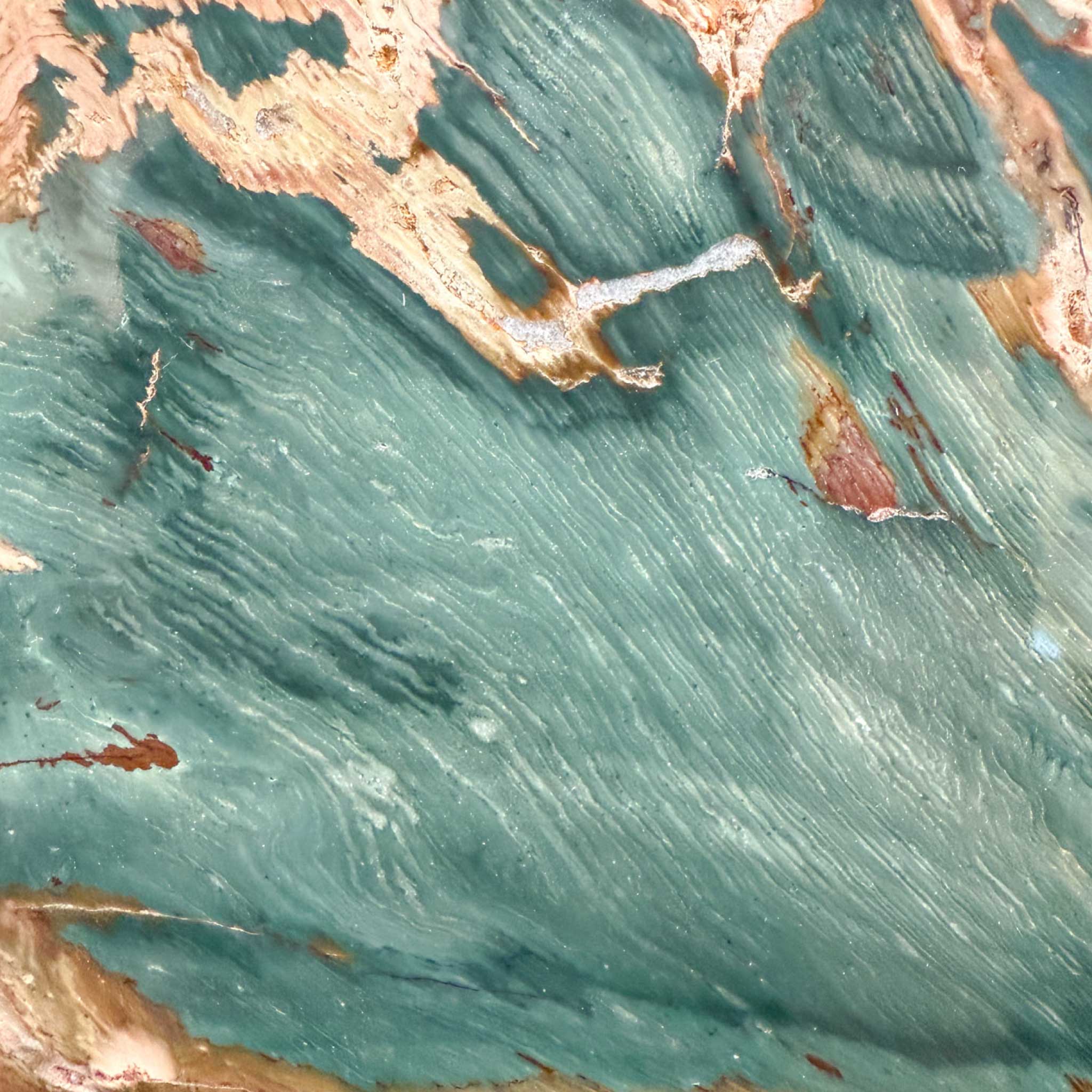 Close up of Gary Green Petrified Wood from Oregon