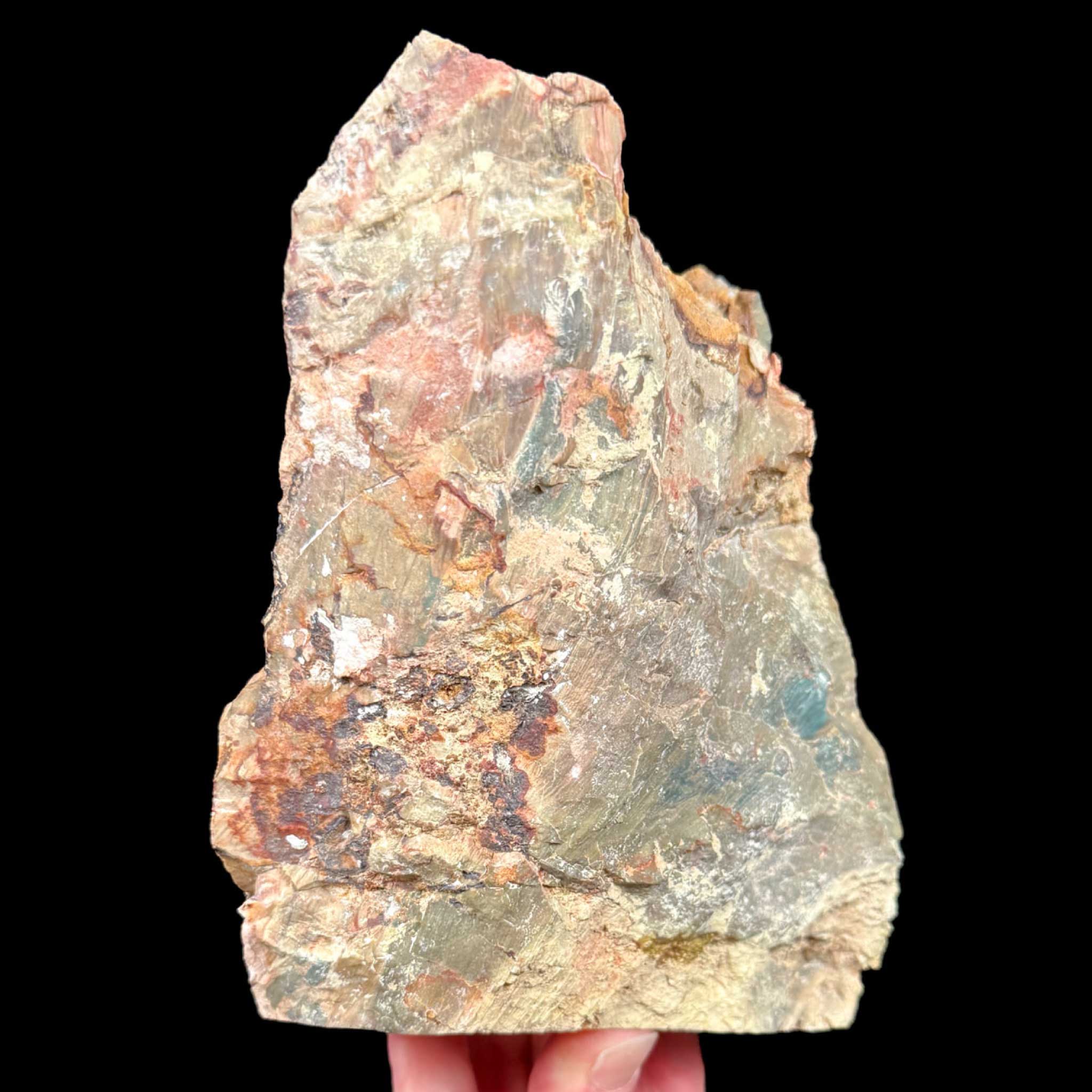 Exterior of Petrified Bogwood from Oregon