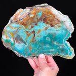 Chrysocolla Petrified Wood from Turkey