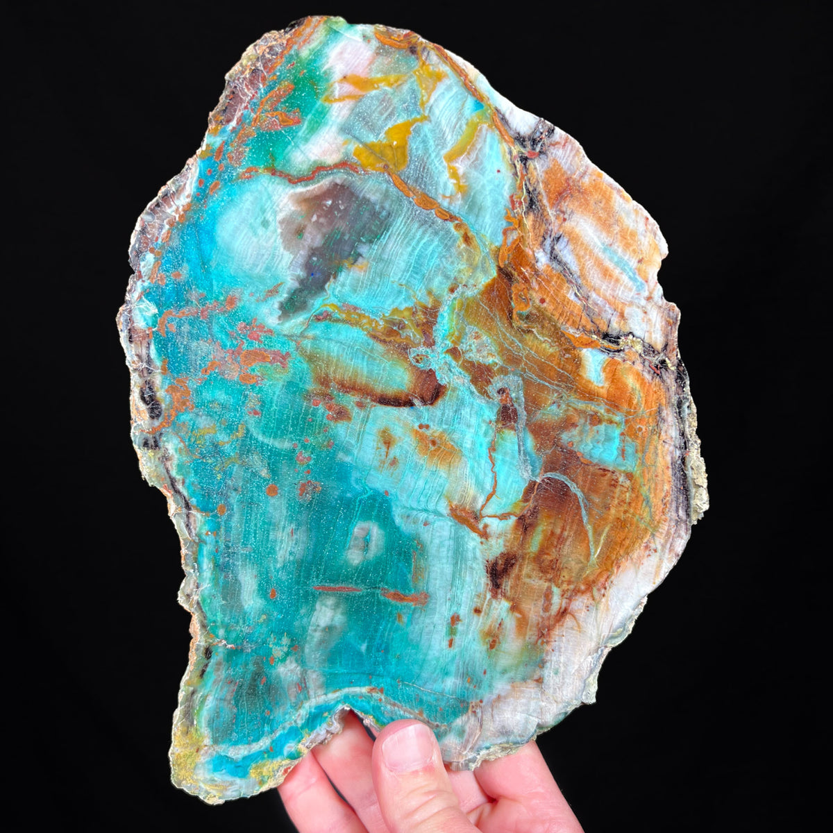Chrysocolla and Malachite in Petrified Wood