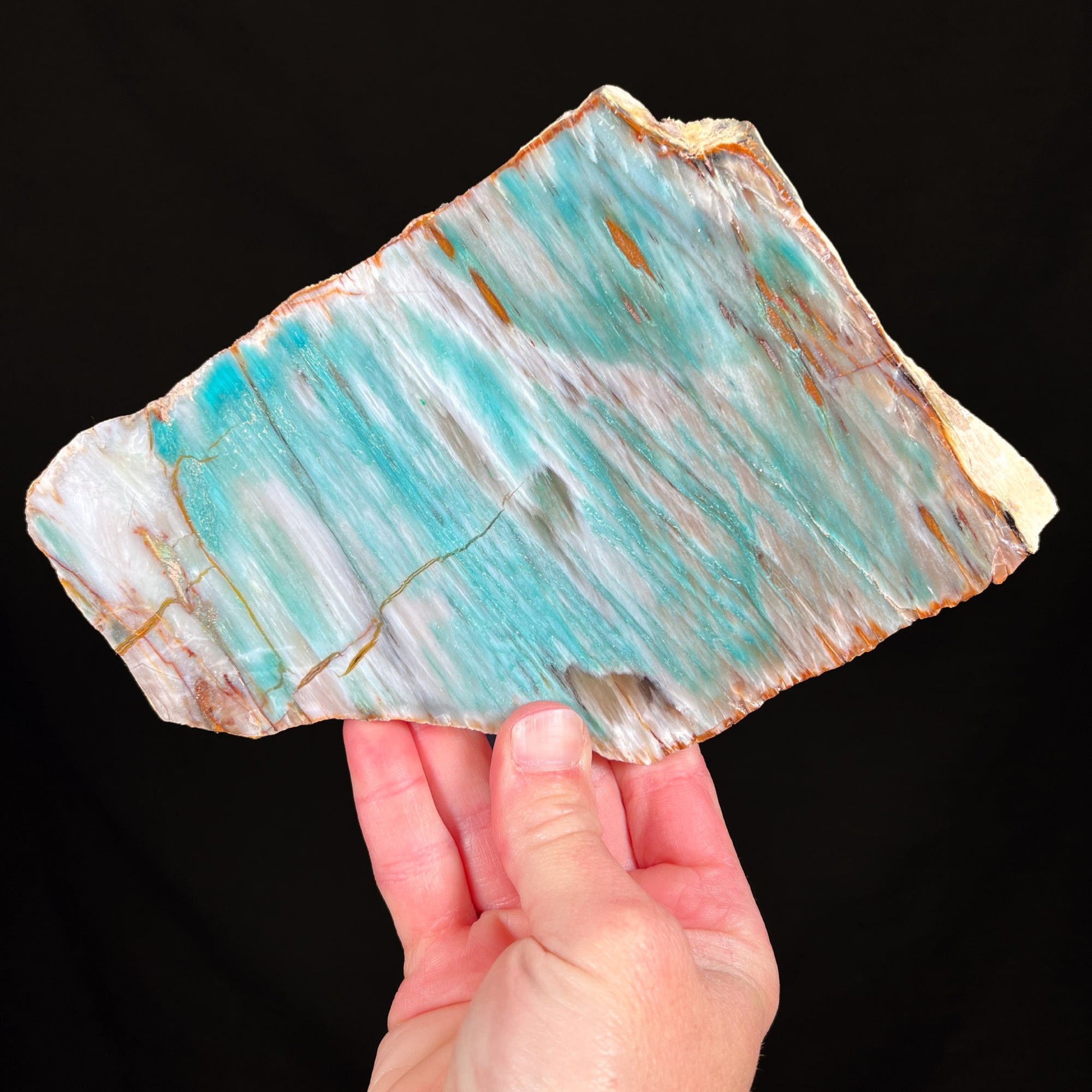 Colla Petrified Wood from Turkey