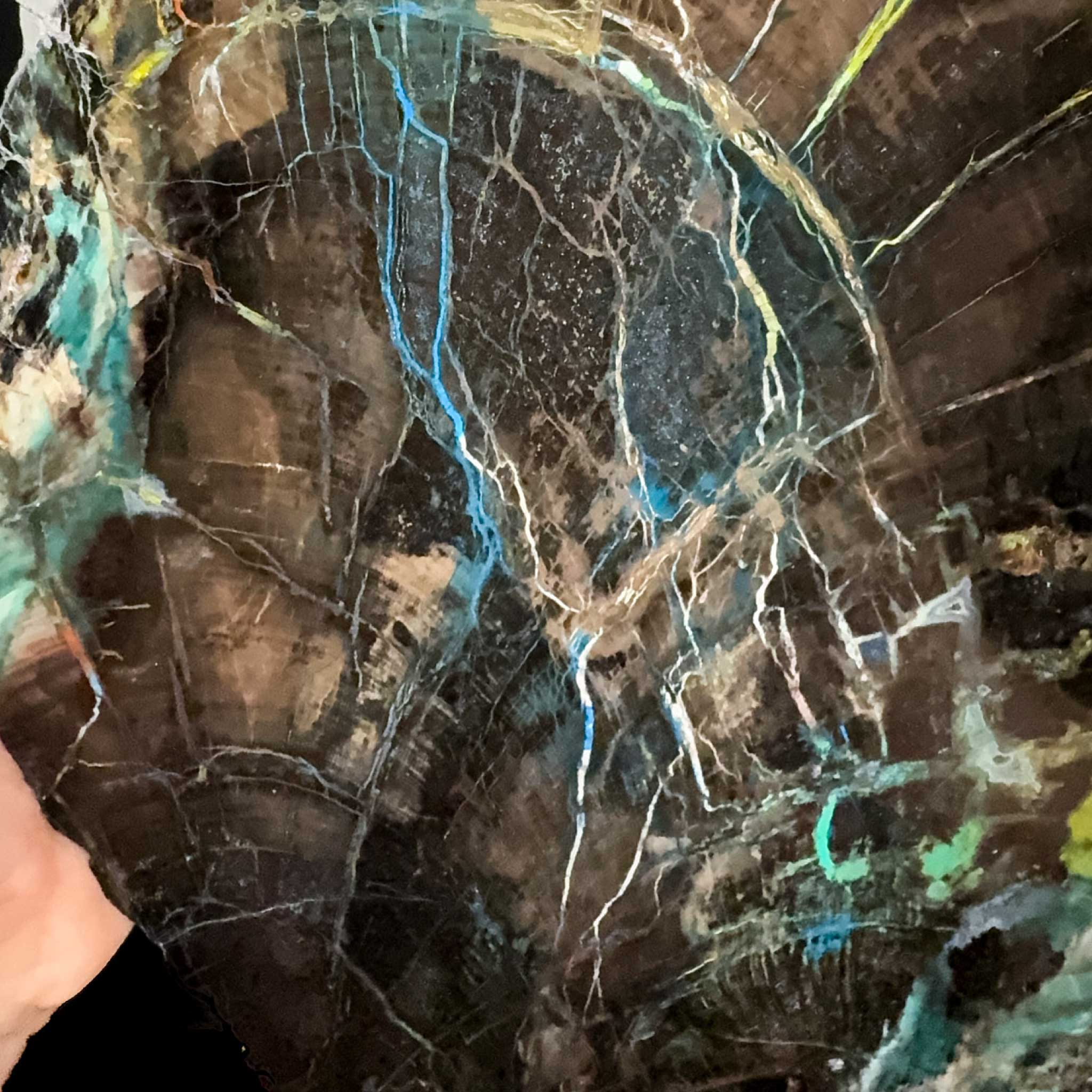Close up of Petrified Chrysocolla Wood from Turkey