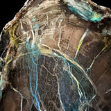Close up of copper mineralization in Petrified Wood