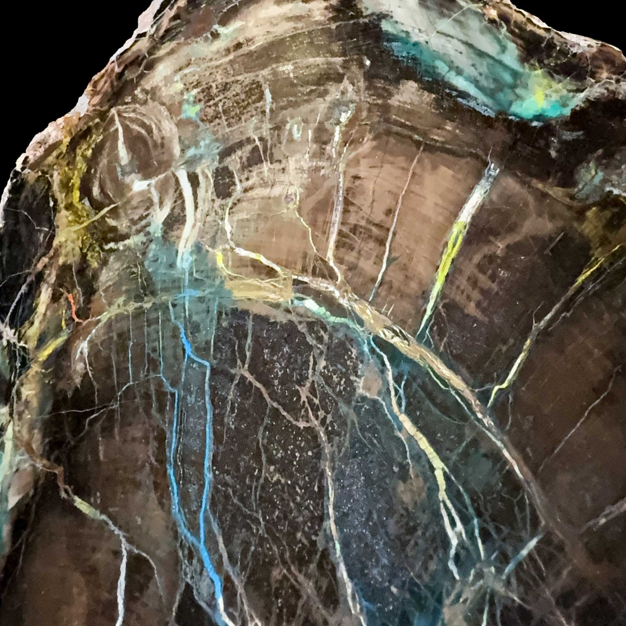 Close up of copper mineralization in Petrified Wood