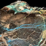 Close up of Chrysocolla and Azurite in Petrified Wood