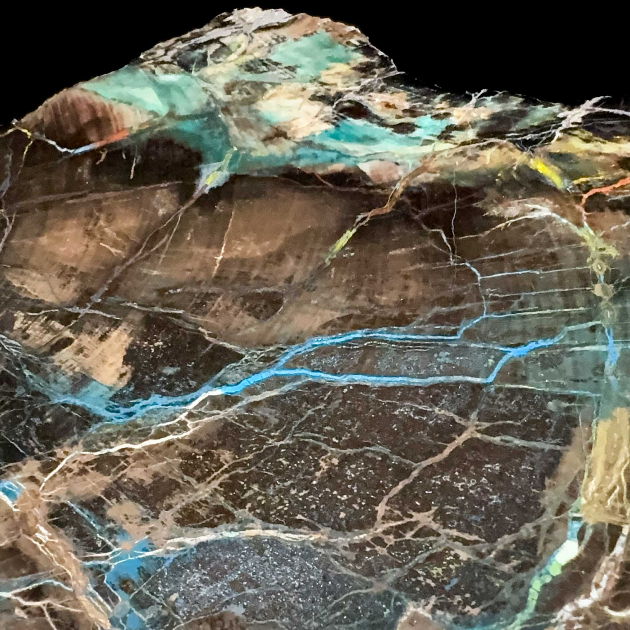 Close up of Chrysocolla and Azurite in Petrified Wood