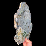 Reverse Side of Petrified Wood with fiberglass reinforcement