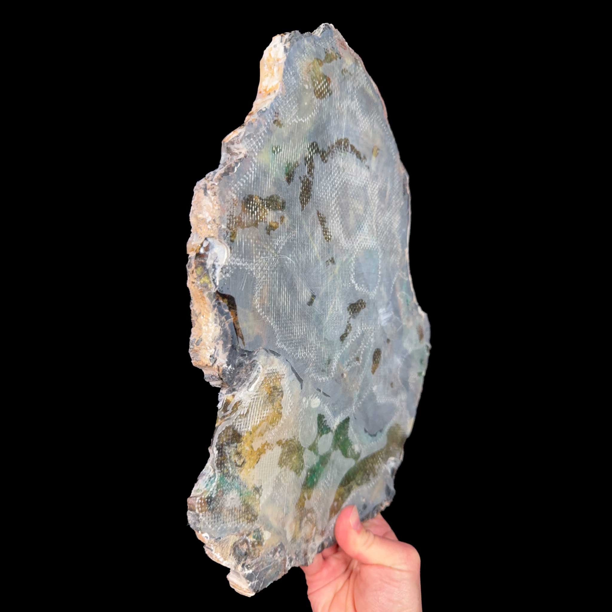 Reverse Side of Petrified Wood with fiberglass reinforcement