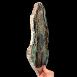 Side view of Petrified Colla Wood