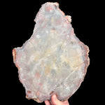 Back side of petrified wood reinforced with fiberglass