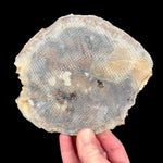 Back side of specimen showing thin layer of fiberglass reinforcement