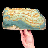 Green Petrified Wood - Gary Green Bogwood from Oregon