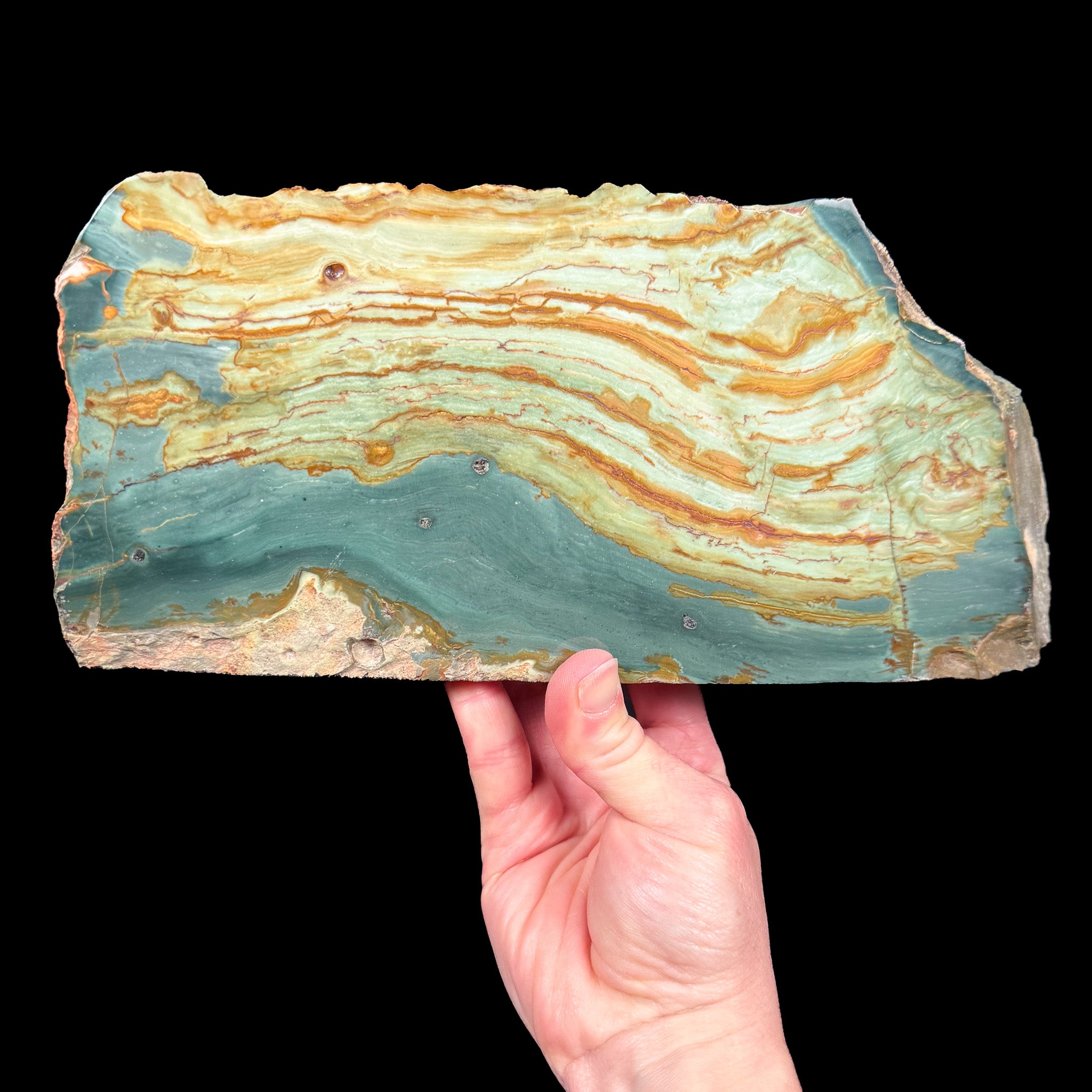 Green Petrified Wood - Gary Green Bogwood from Oregon