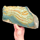 Green Petrified Wood from Oregon