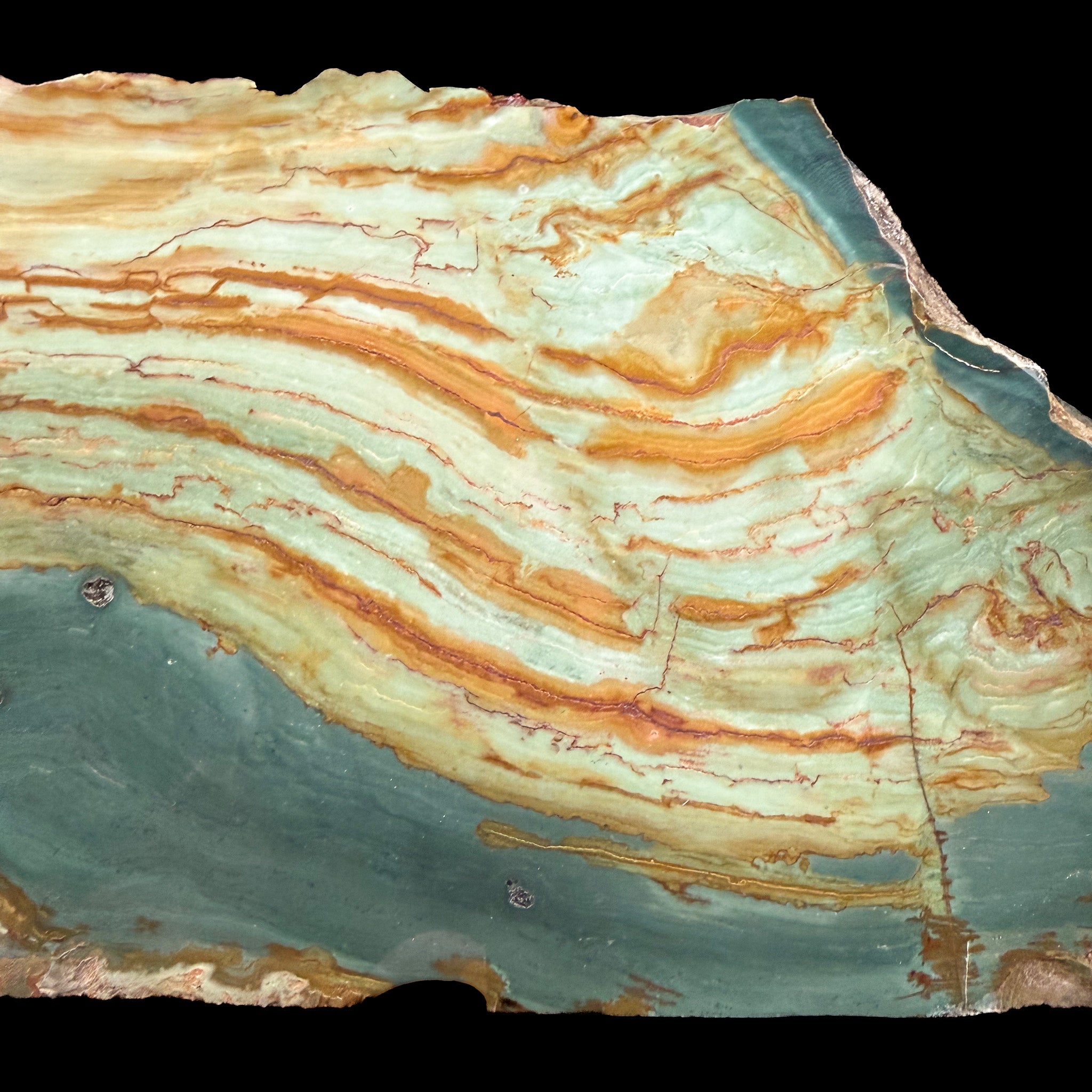 Close up of greens, teals, and earth tones in Petrified Bogwood from Oregon 