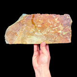 Back Side of Specimen 