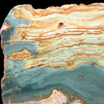 Close up of earth tones, greens and teals in Petrified Gary Green Wood