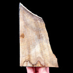 Stinking Water, Oregon Petrified Wood Bookends