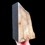 Stinking Water, Oregon Petrified Wood Bookends