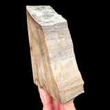 Exterior of Petrified Wood Bookends