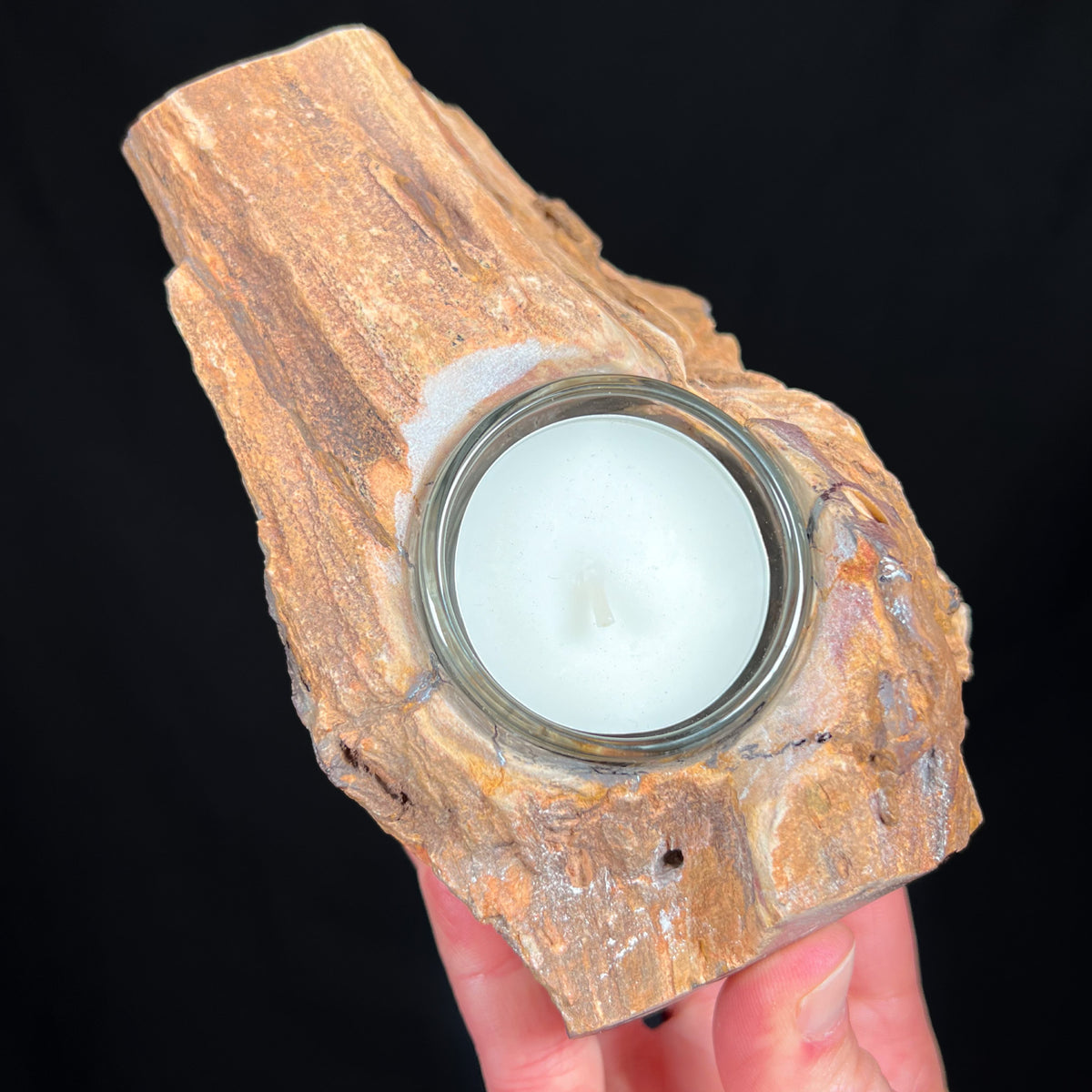Petrified wood candle holder