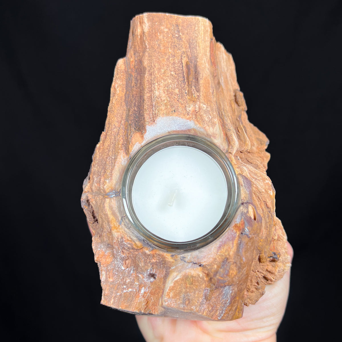 Petrified Wood Home Decor Candle Holder